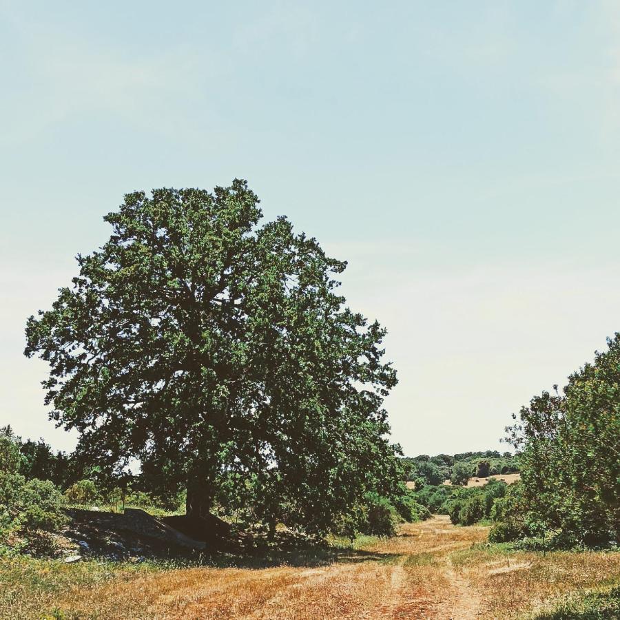 Masseria Lojazzo Ceglie Messapica Bagian luar foto
