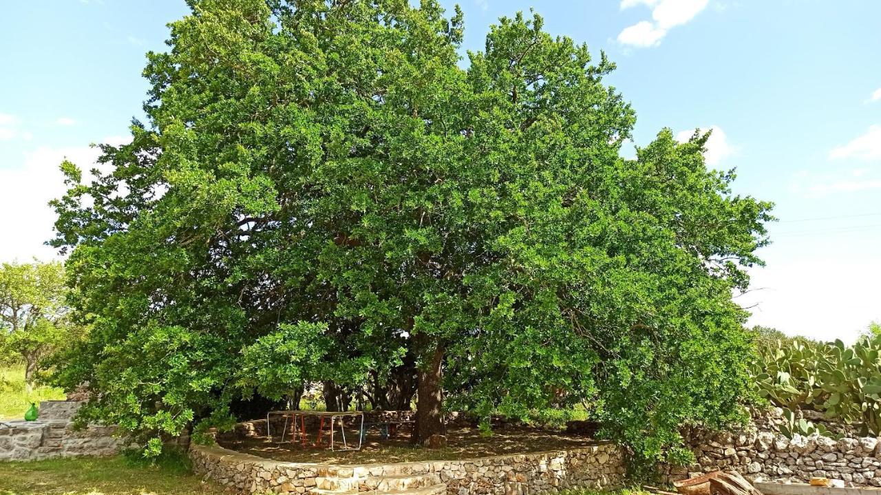 Masseria Lojazzo Ceglie Messapica Bagian luar foto