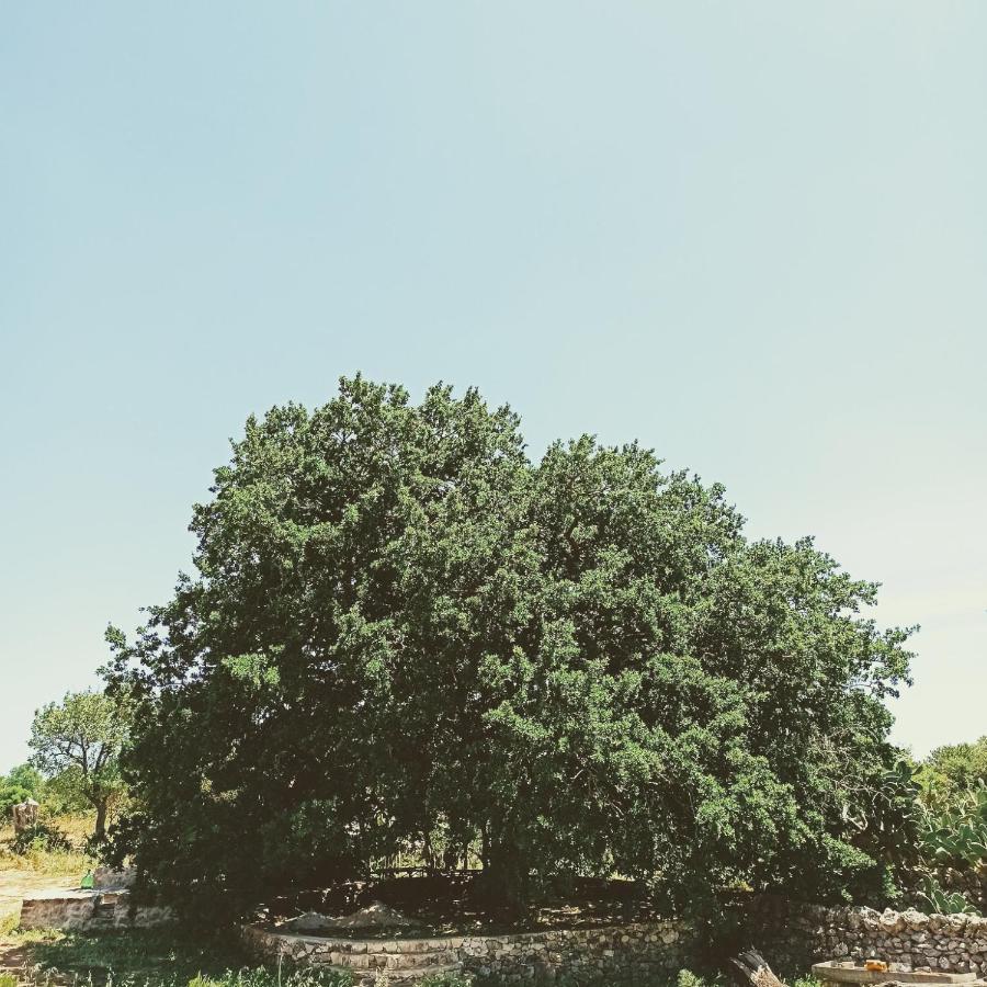 Masseria Lojazzo Ceglie Messapica Bagian luar foto